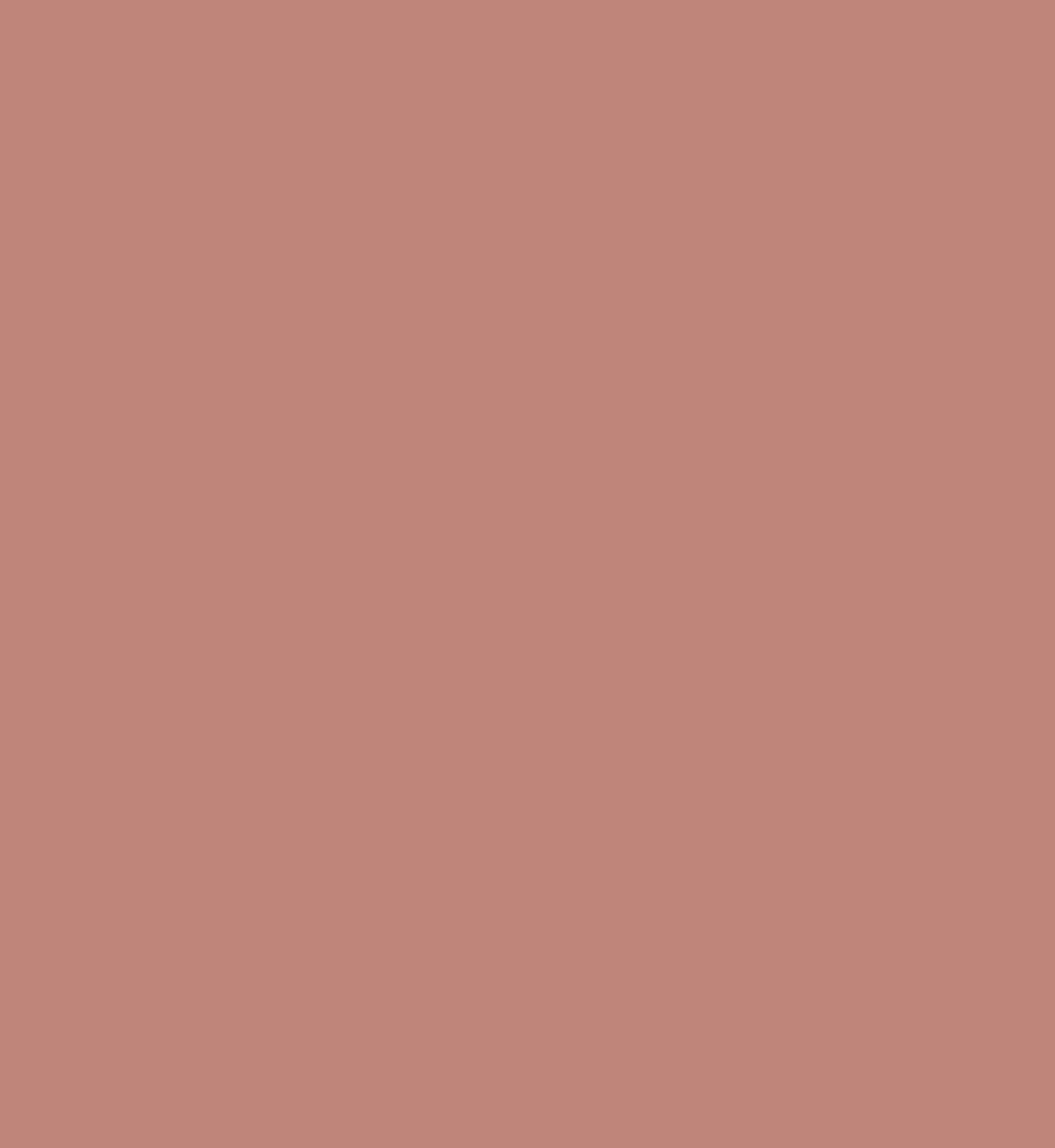 SHEGLAM Dynamatte Boom Long-lasting Matte Lipstick - Encore Energy 5 of 5