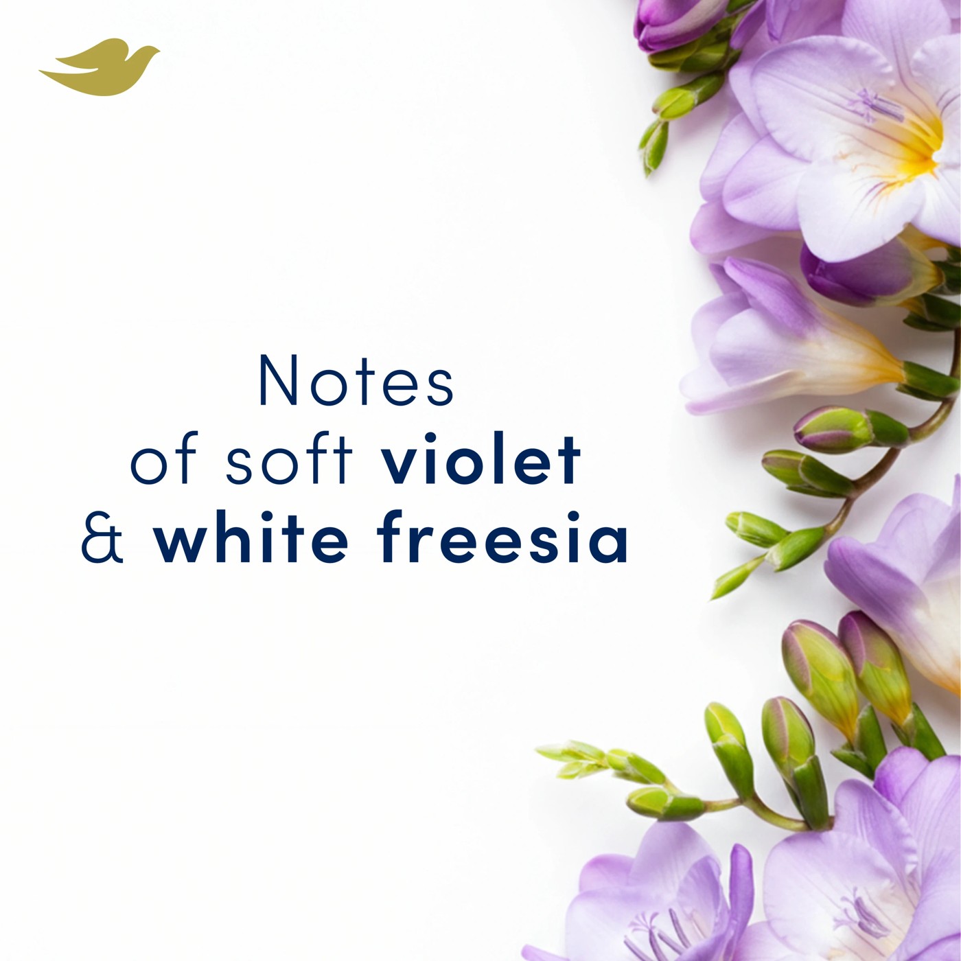 Dove Advanced Care Go Fresh Antiperspirant Deodorant Roll-On 50ml - Pro-Ceramide and Calendula, White Freesia Scent 5 of 6