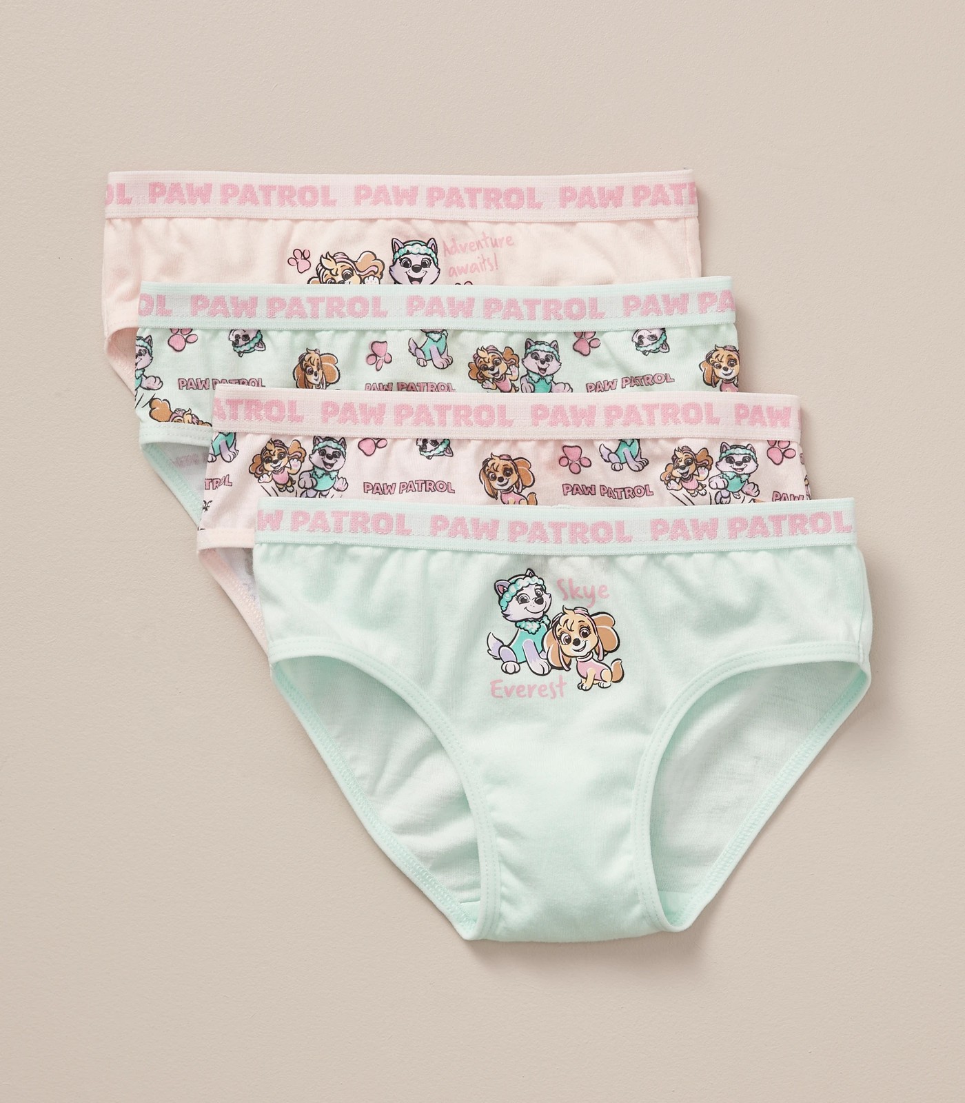 4 Pack Paw Patrol Briefs