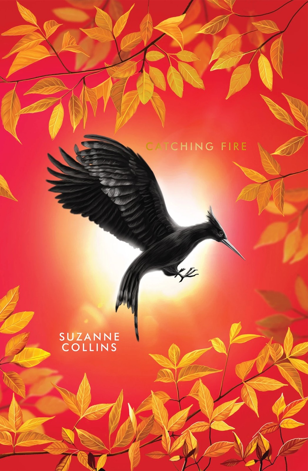 The Deluxe Hunger Games Collection by Suzanne Collins - Book 3 of 6