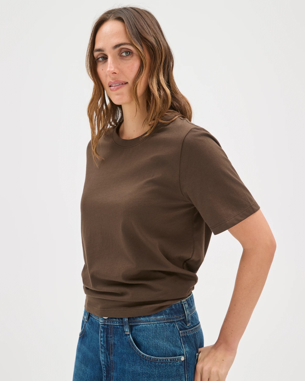 Australian Cotton Classic T-Shirt - Coffee Bean 4 of 5