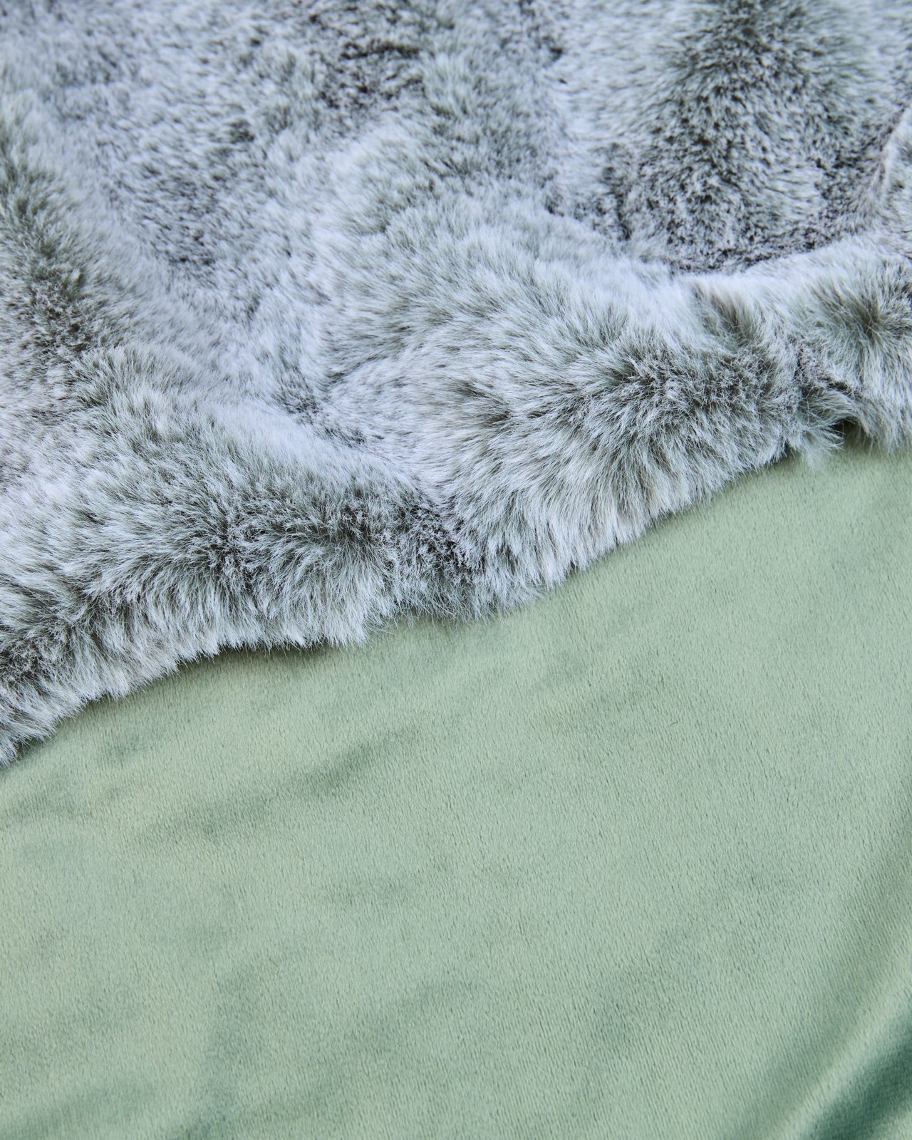 590_72170335_2+590T7217