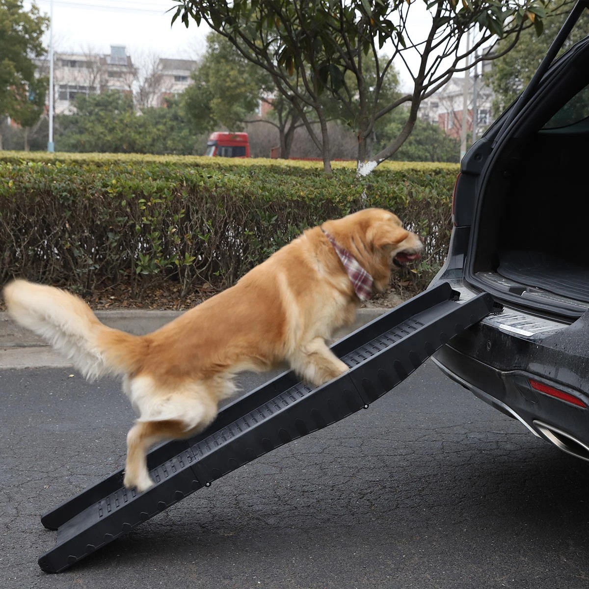 Target dog ramp sale