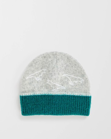 Kids Embroidered Dino Jacquard Beanie