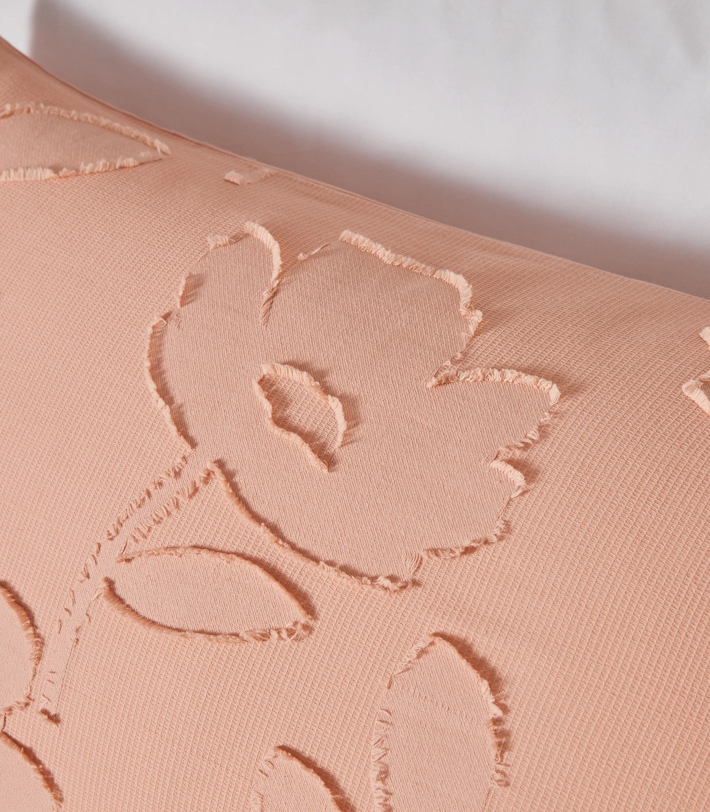 5000253554_orange_IMG_003