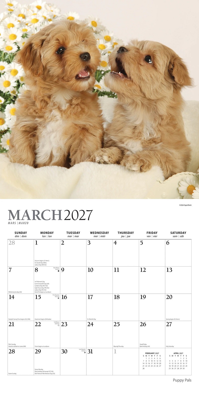 2027 16-Month Calendar - Dogs, Assorted 2 of 6