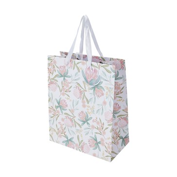 Native Gift Bag - Anko