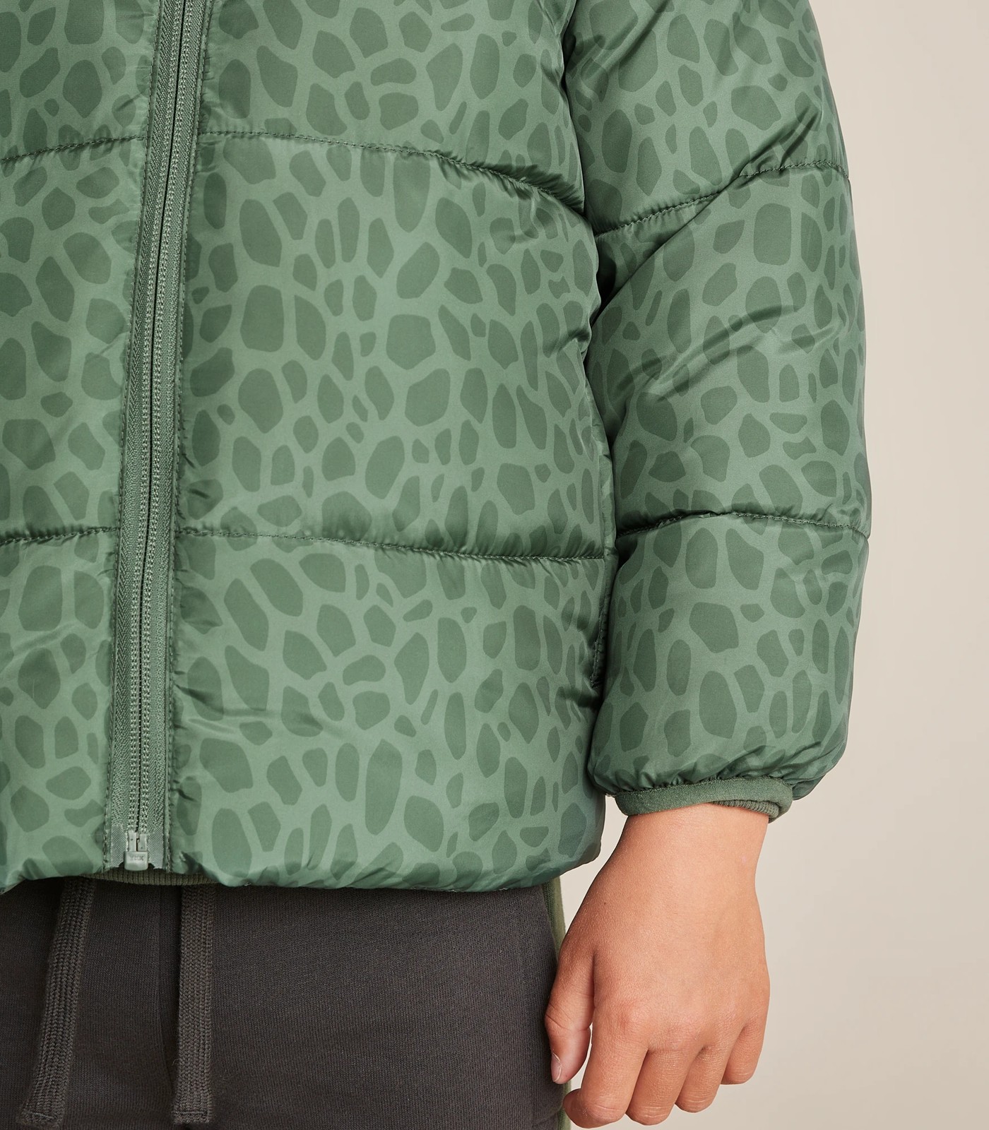 Dinosaur puffer outlet jacket