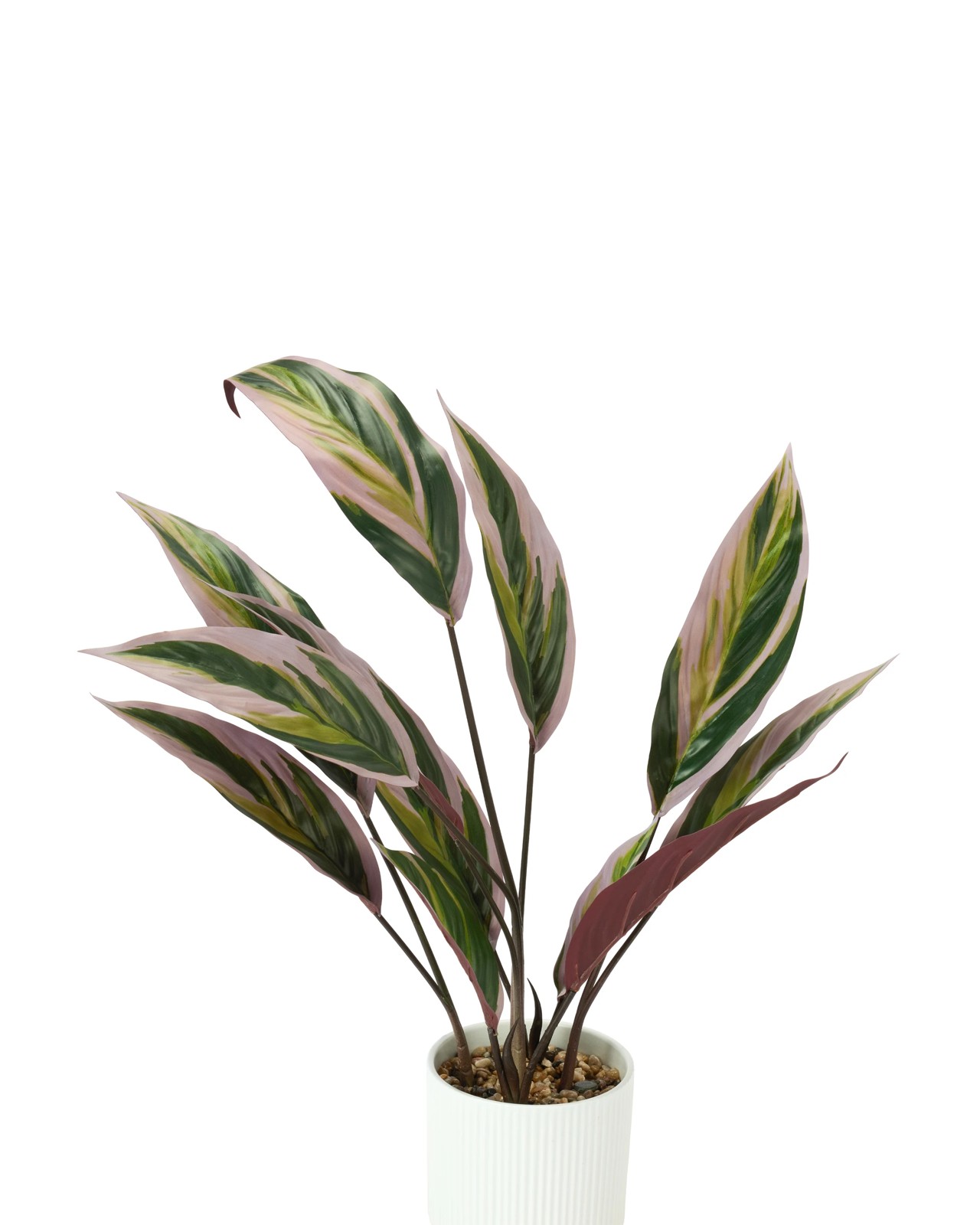 Anko Artificial Stromanthe Plant in Linear Pot 2 of 3