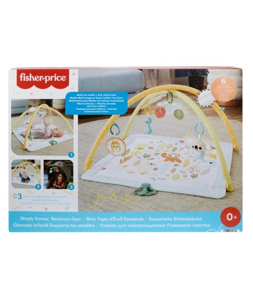 Fisher Price Simply Senses Newborn Gym