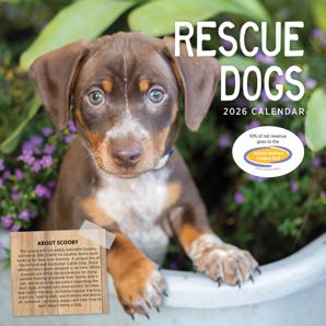 Rescue Dogs 2026 Calendar product image