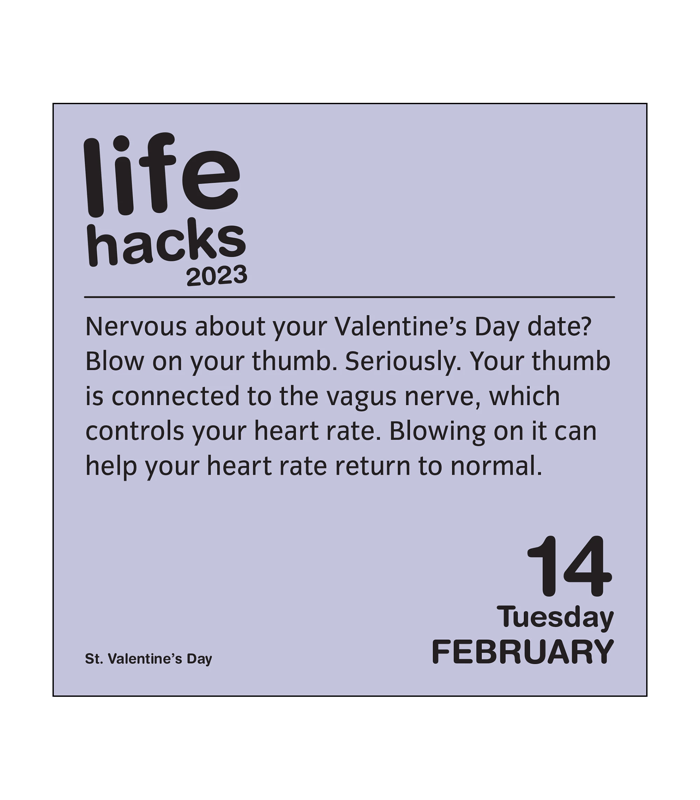 Life Hacks 2023 Boxed Calendar | Target Australia