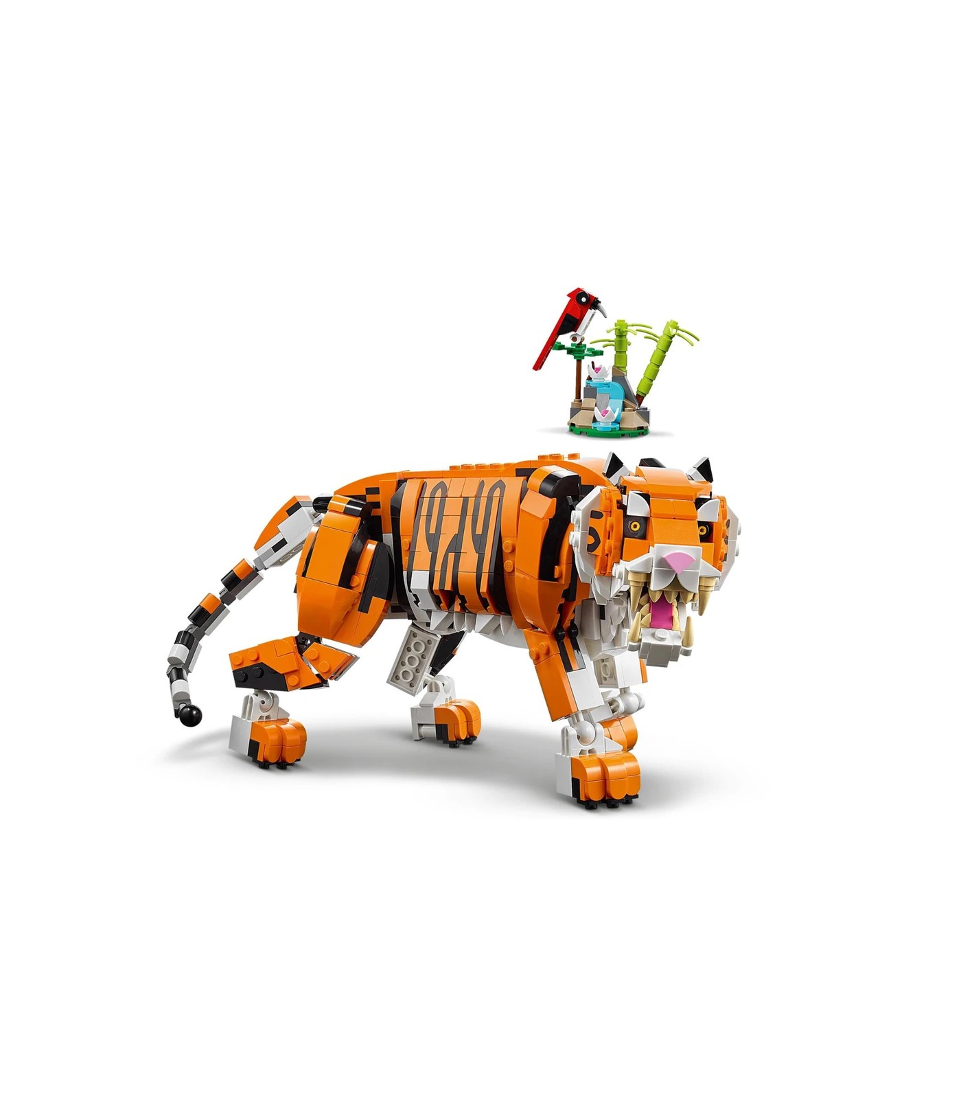 66054528-IMG-006