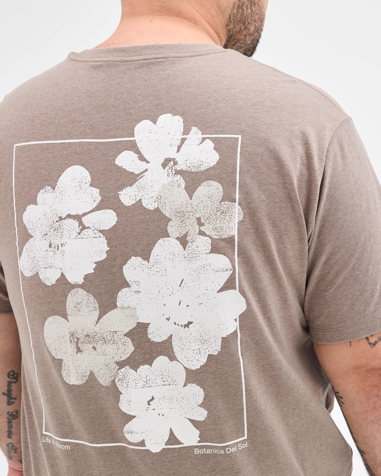 415_71972275_6+415T7197