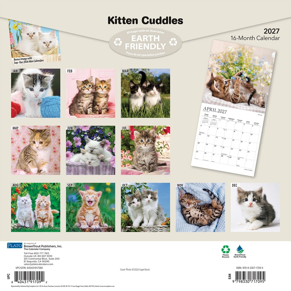 Cats 2027 16-Month Calendar - Assorted 2 of 6