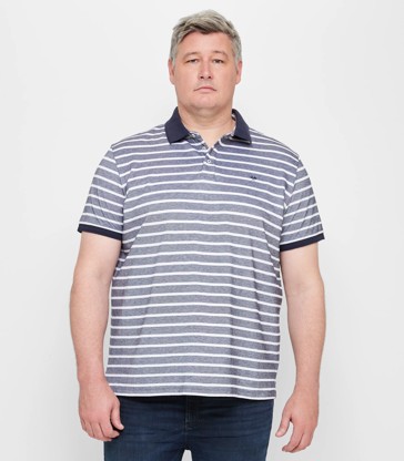 Man Plus Stripe Polo Shirt