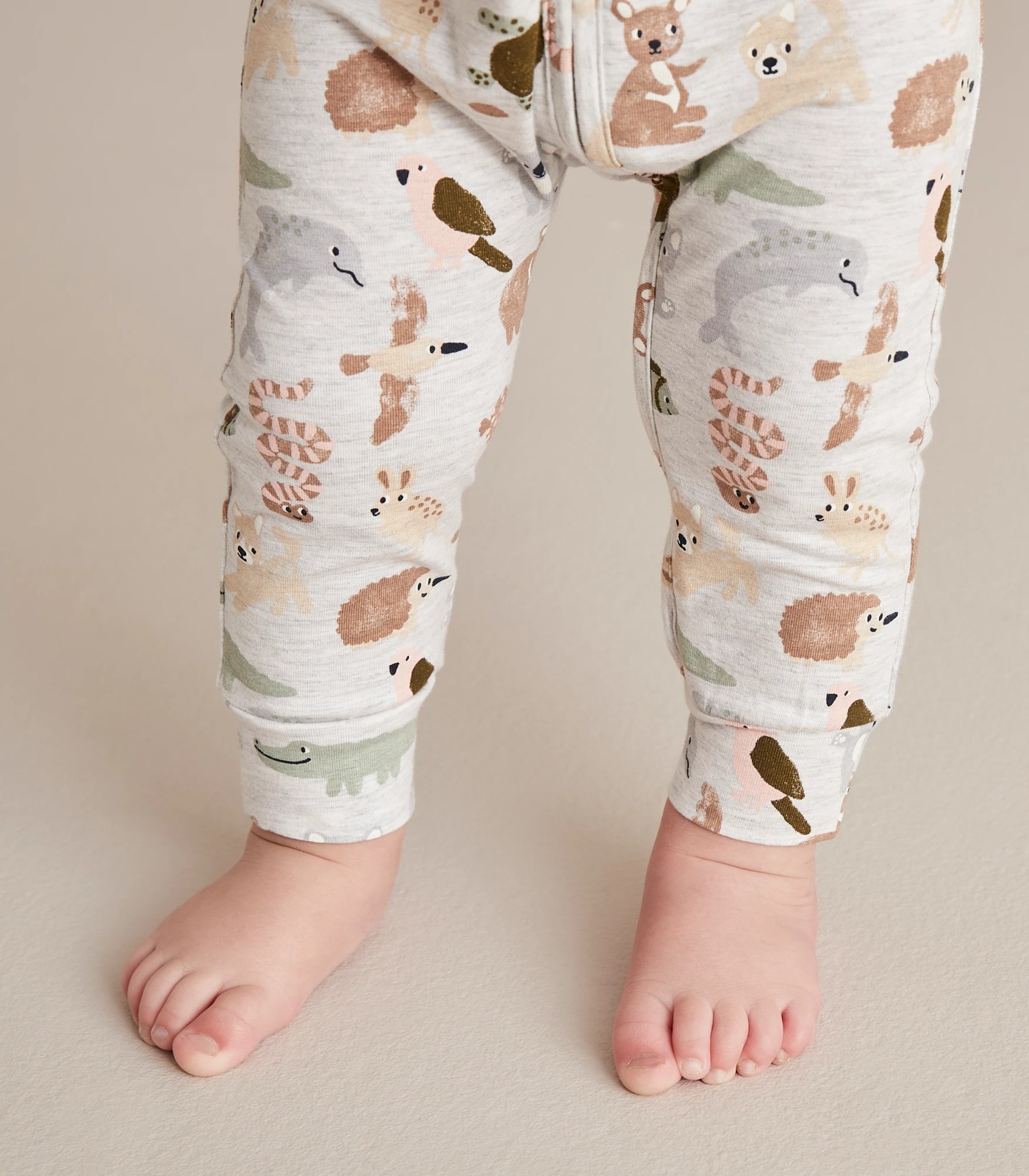 355_67887378_13+24ADFC