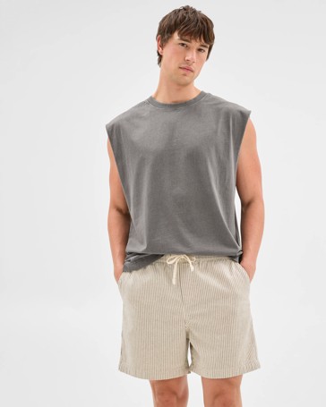 Denim Stripe Volley Shorts - Commons