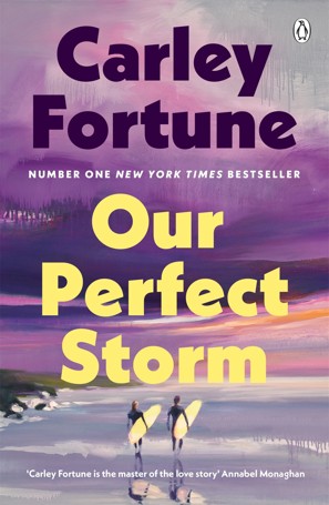 Our Perfect Storm by Carley Fortune - Book