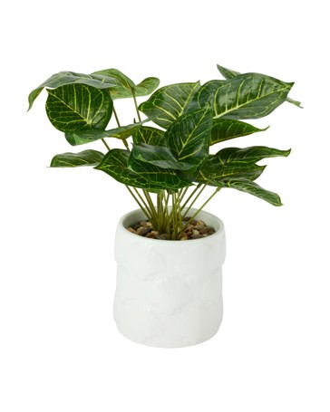 Anko Artificial Syngonium Plant in Shell Pot