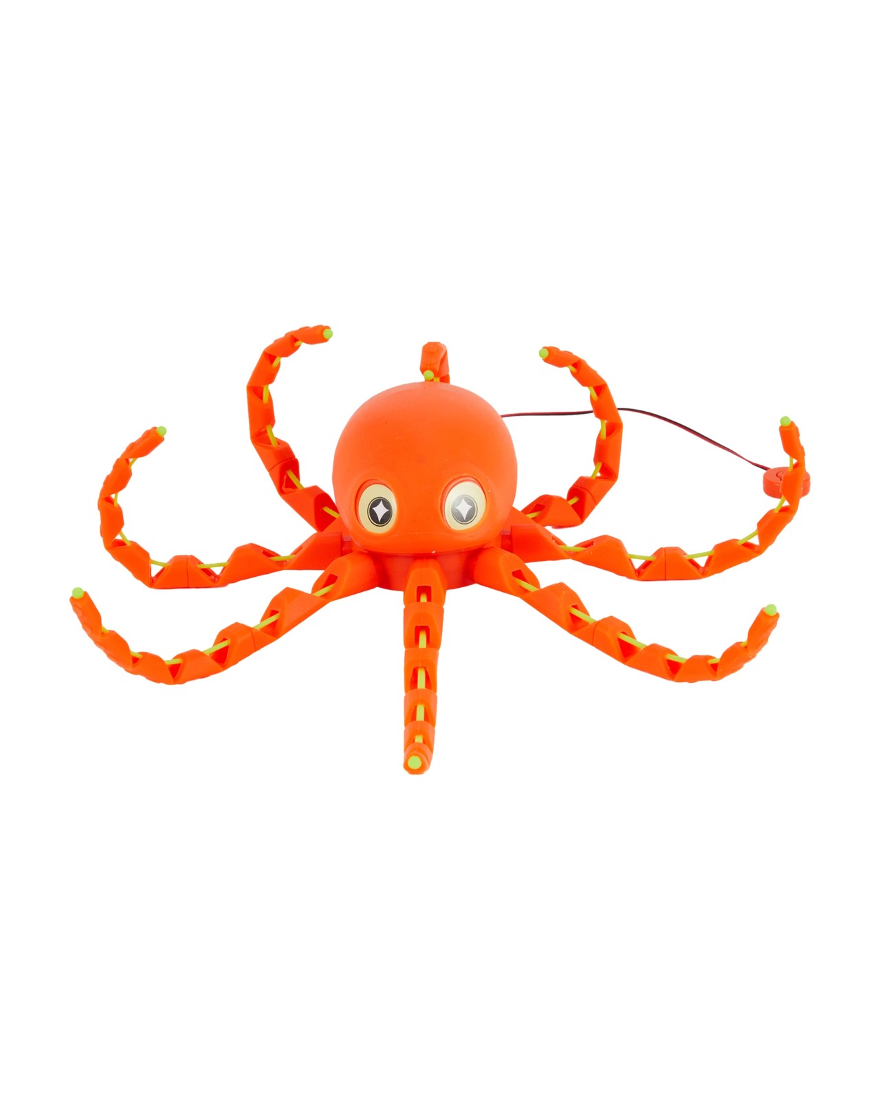 Octopus 2 of 5
