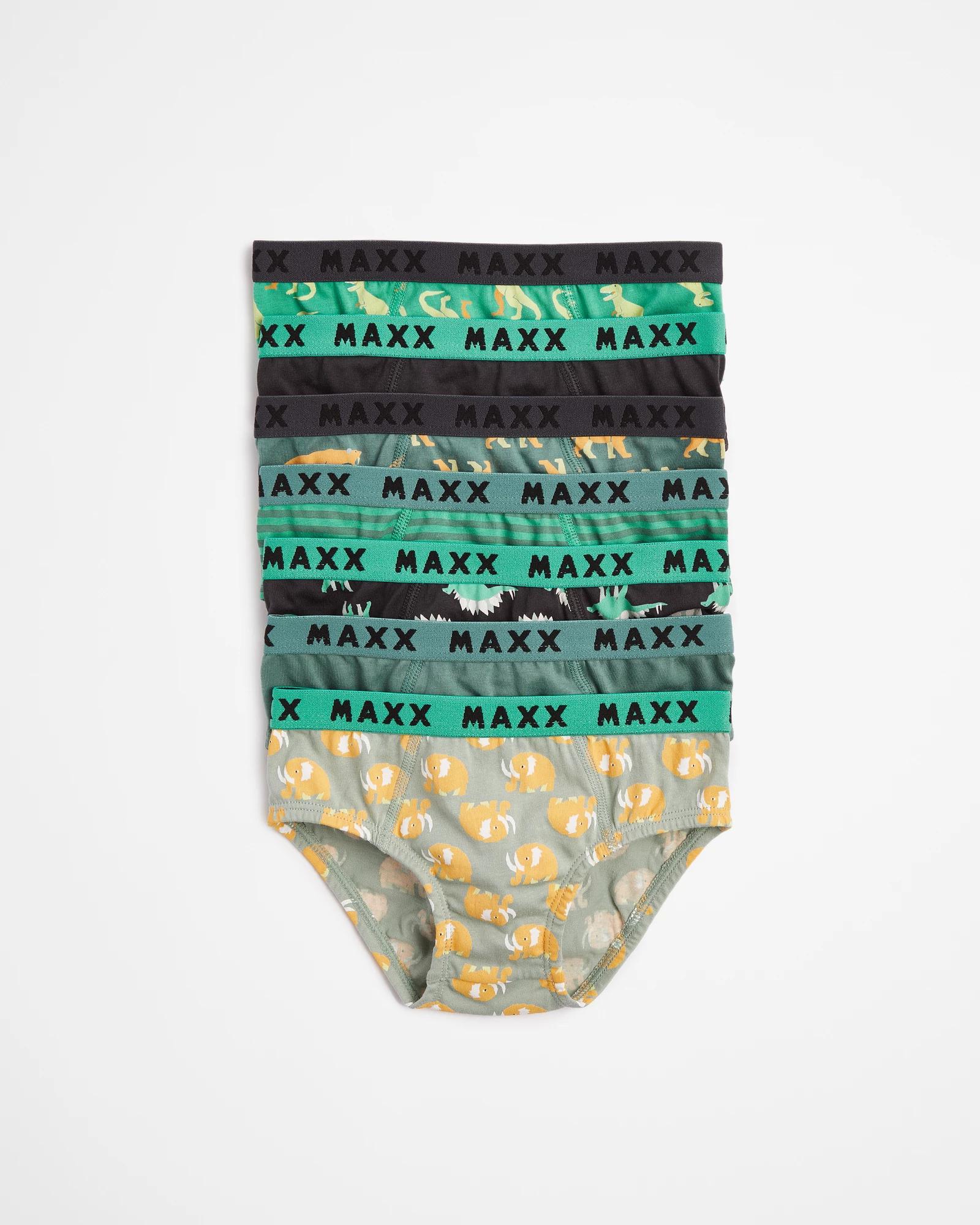 Boys Dinosaur 7 Pack Maxx Briefs