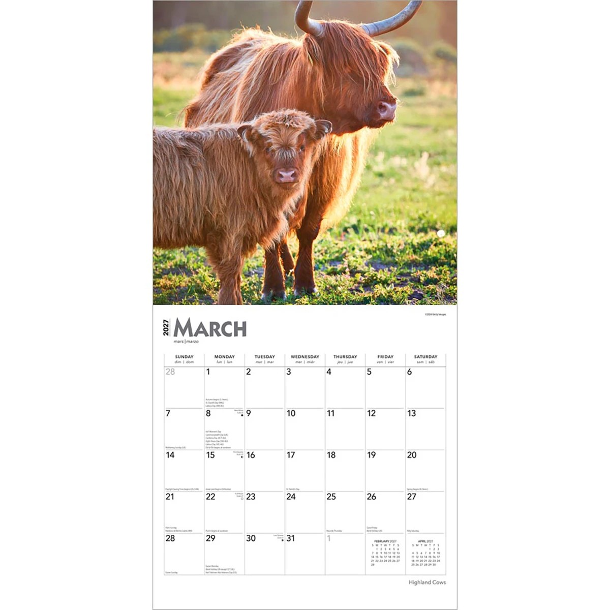 Highland Cows 2027 16-Month Calendar 4 of 4
