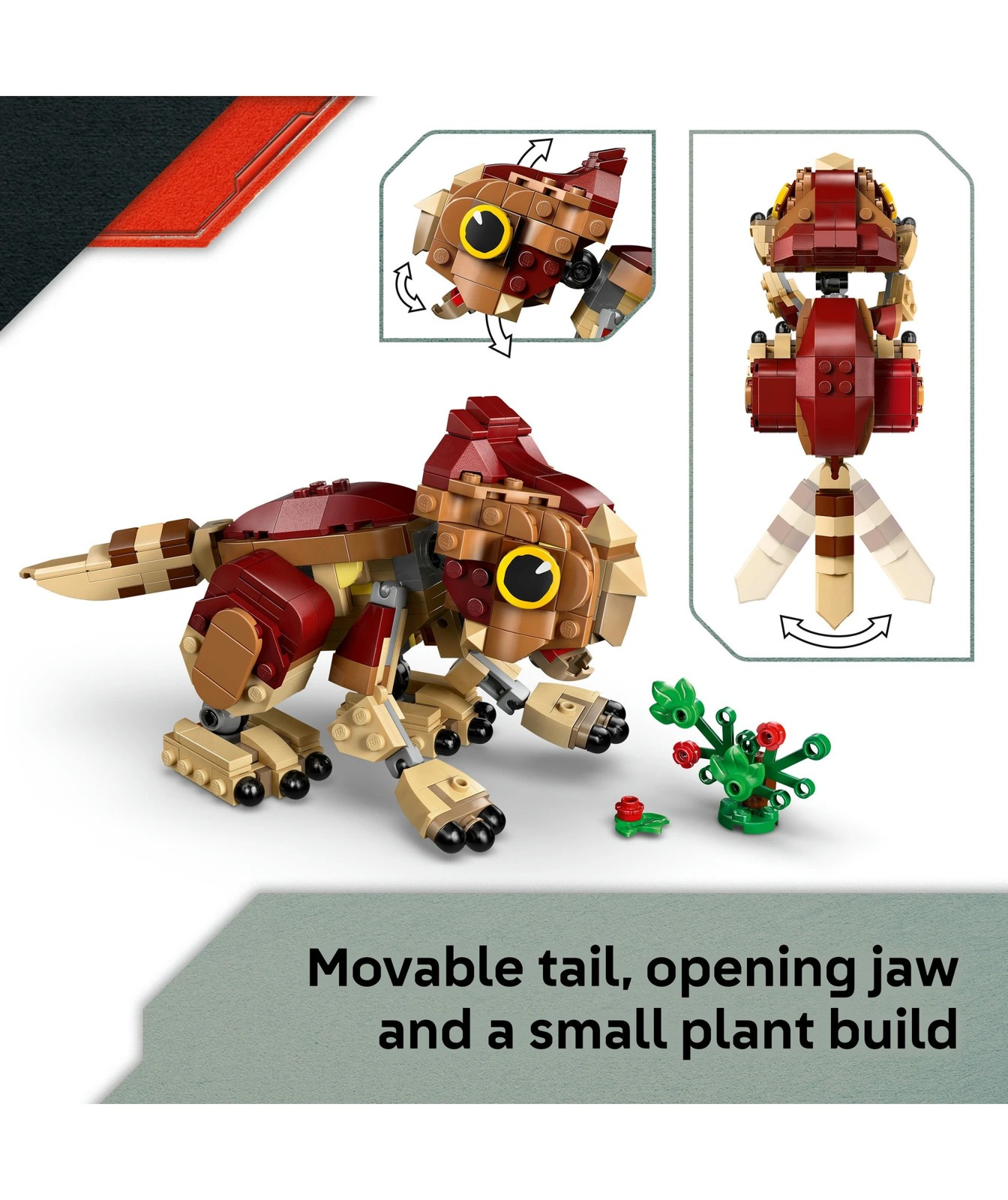 71499055-IMG-005
