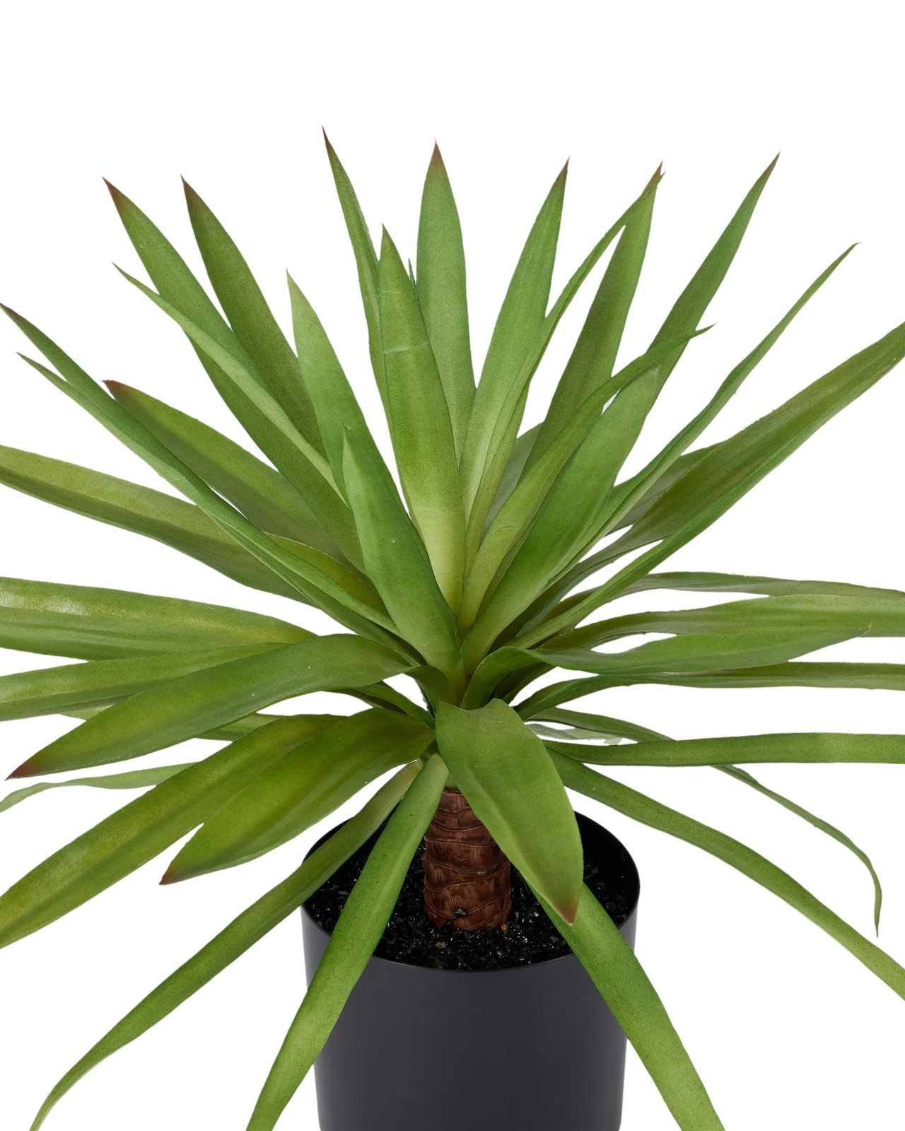 Anko Artificial Dracaena Plant in Pot 2 of 3