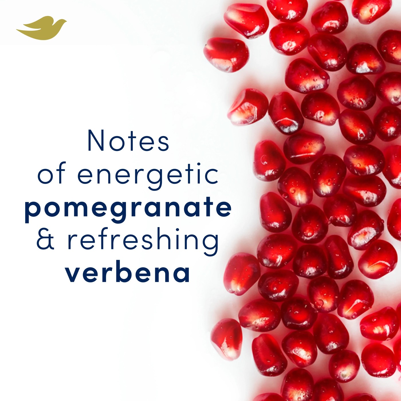 Dove Advanced Care Go Fresh Antiperspirant Deodorant Roll-On 50ml - Pro-Ceramide and Calendula, Pomegranate Scent 5 of 5