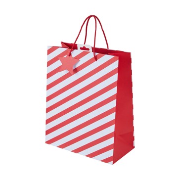 Stripe Gift Bag, Large - Anko