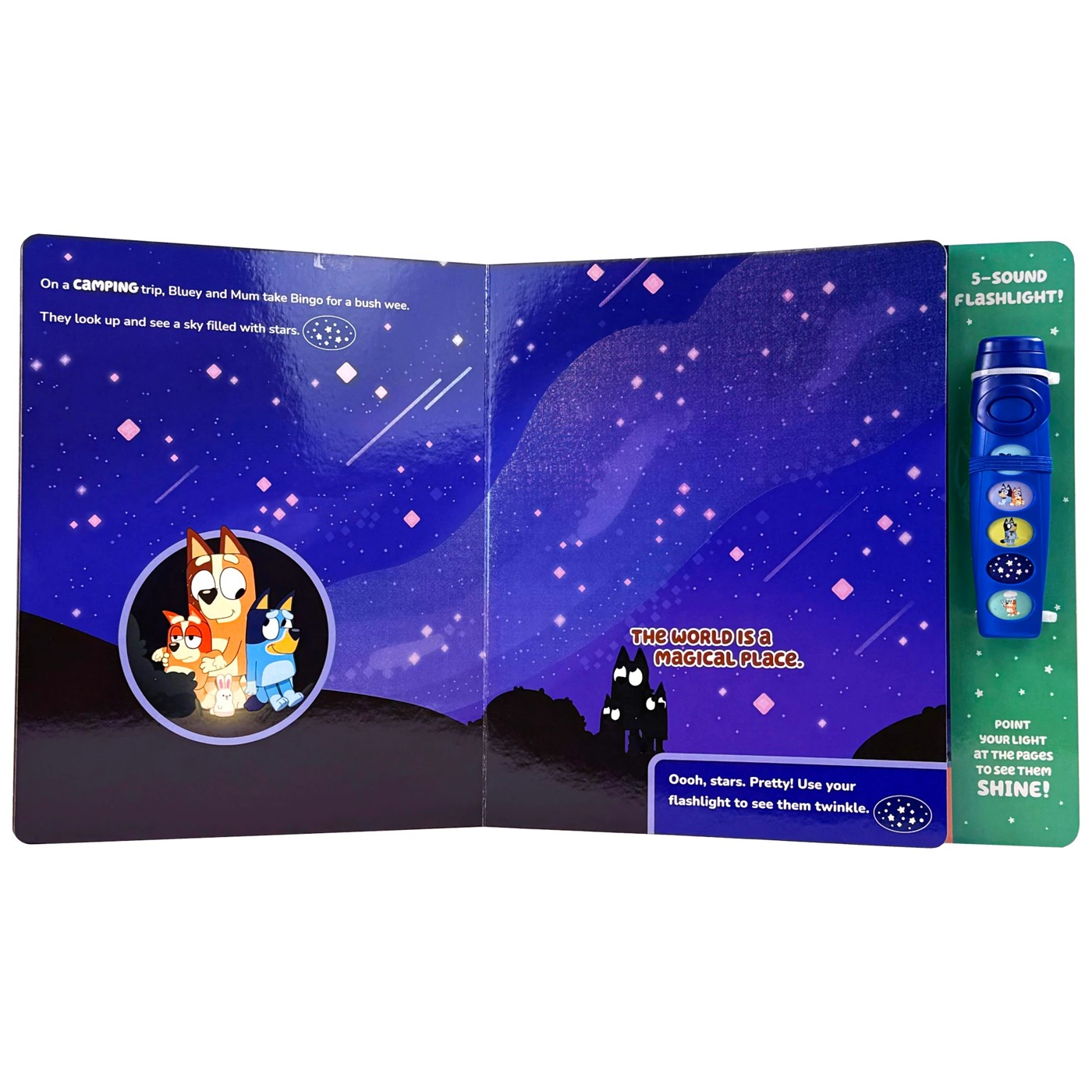 Bluey: Oooh, Shiny! A Bluey Flashlight Sound Book 5 of 5