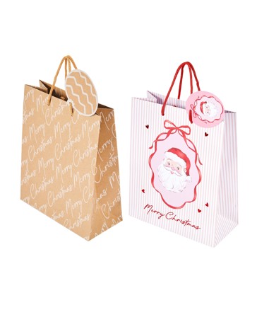 Anko Gift Bag - Medium, Assorted