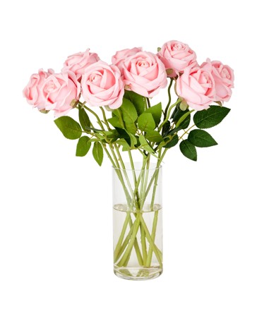 Anko Cylinder Glass Vase