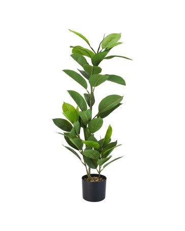 Anko Artificial Rubber Tree Plant