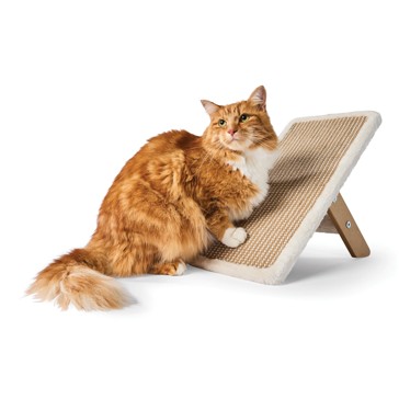 Anko Vertical Cat Scratching Stand