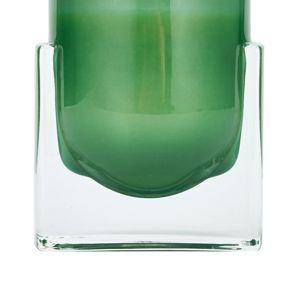 Anko Luxe Amber Sage Candle