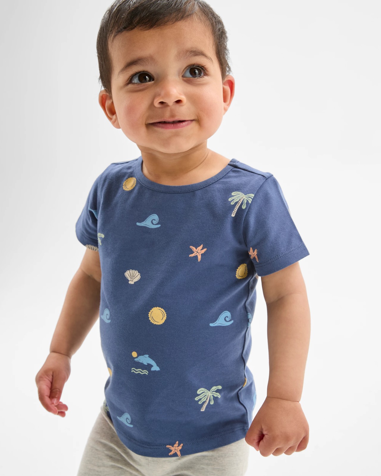 355_71479194_2+355T7147