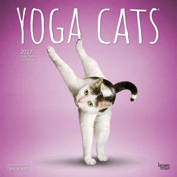 Cats 2027 16-Month Calendar - Assorted