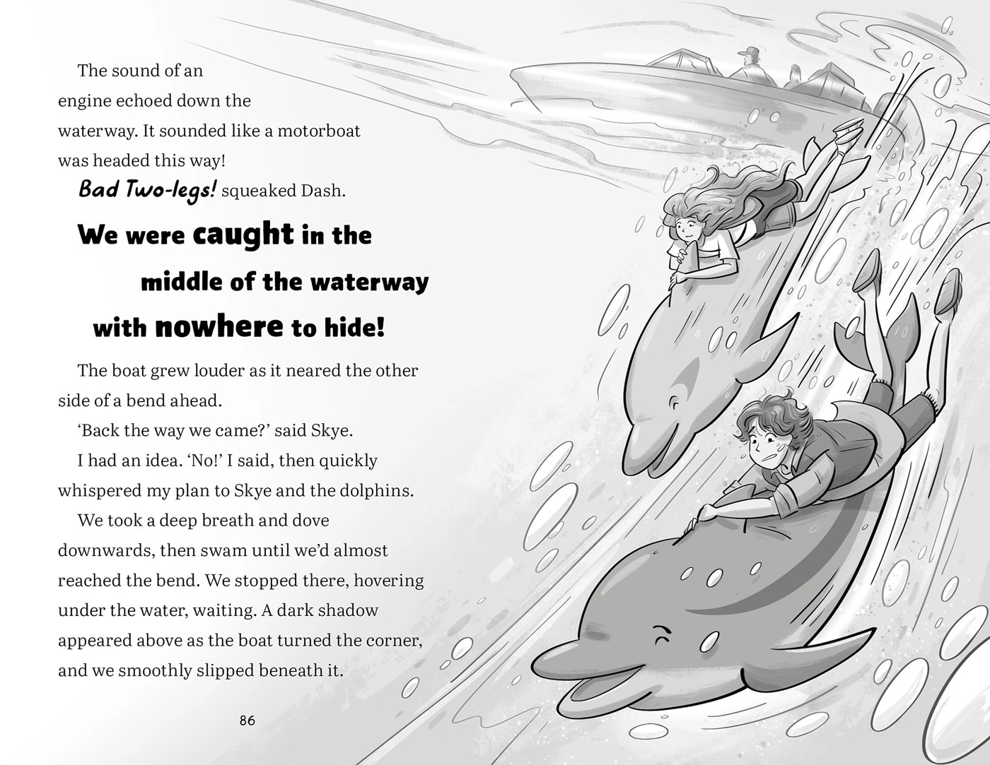 Shipwreck Bay: Dolphin Twins by Anh Do - Book 3 2 of 4