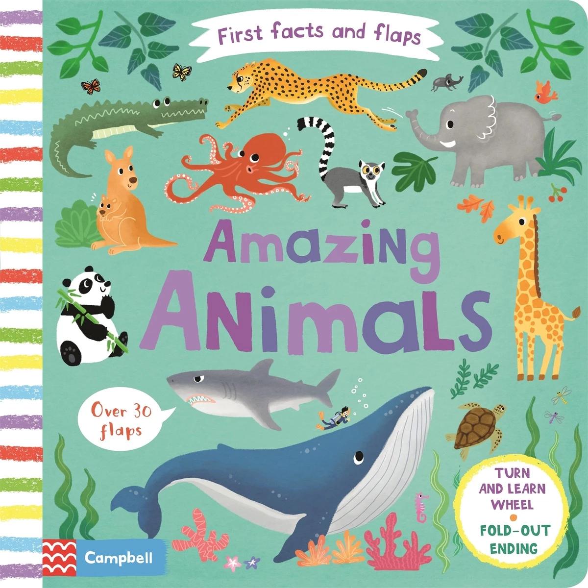 First Facts and Flaps: Amazing Animals - Lon Lee | Target Australia