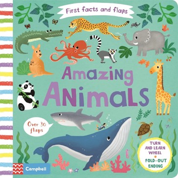 First Facts and Flaps: Amazing Animals - Lon Lee