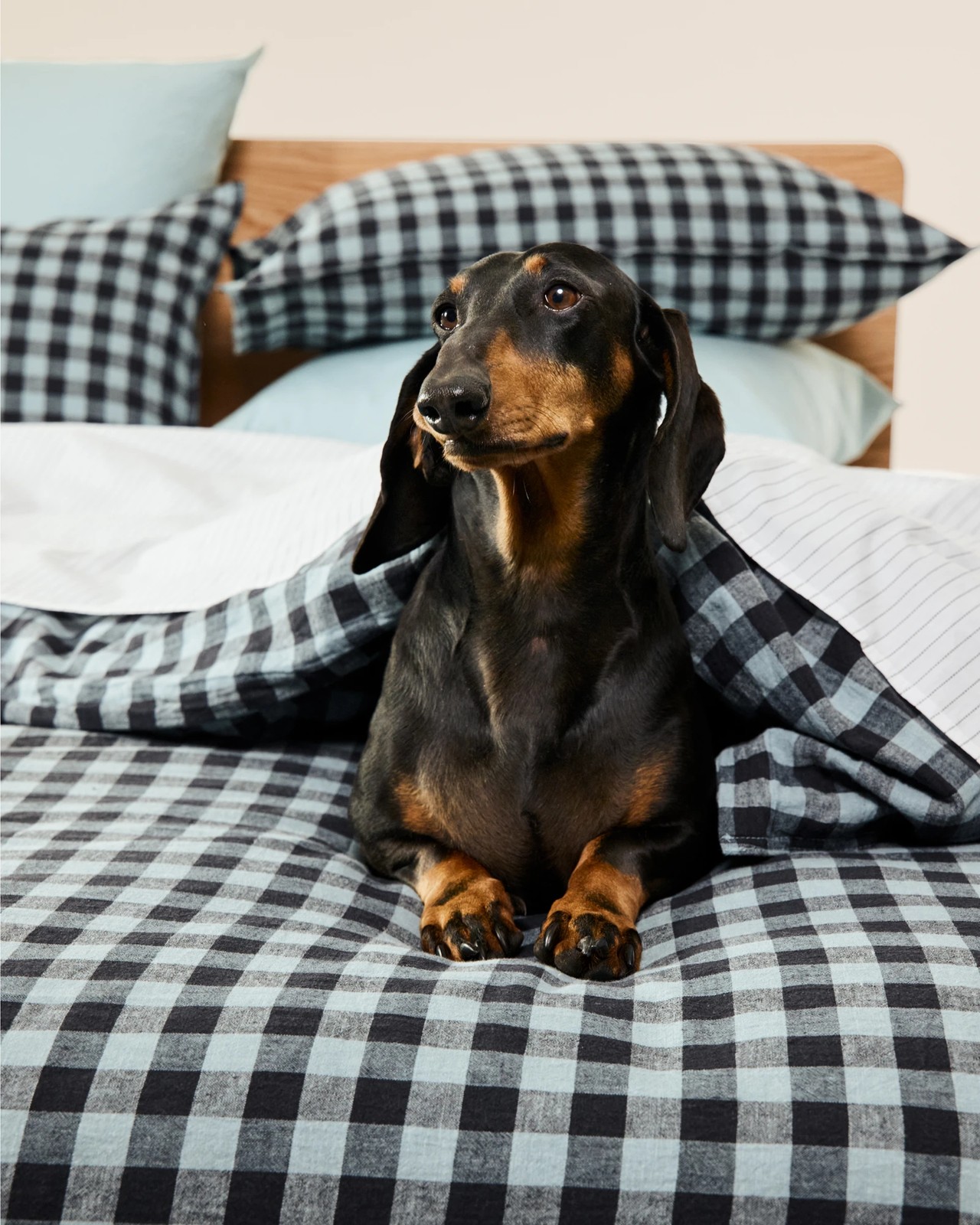 Darby Gingham Linen/Cotton Quilt Cover Set 6 of 6