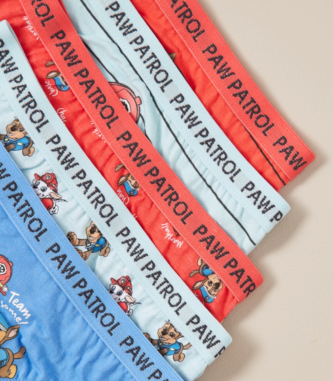 5 Pack Paw Patrol Brief Pencil Case Set