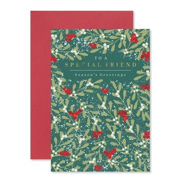 Hallmark Christmas Card - Special Friend