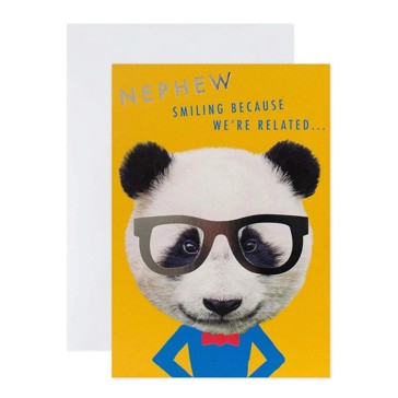 Connections from Hallmark Birthday Card for Nephew - Panda with Glasses