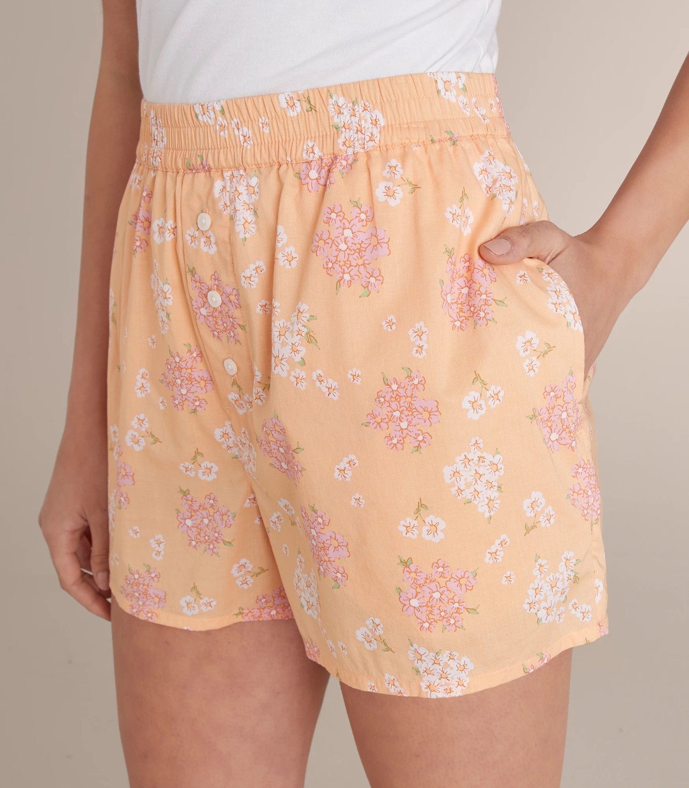 80_66995197_21+222BEC