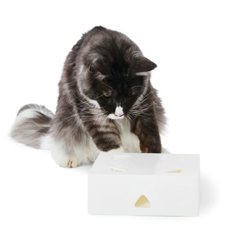 Anko Cat Enrichment Toy