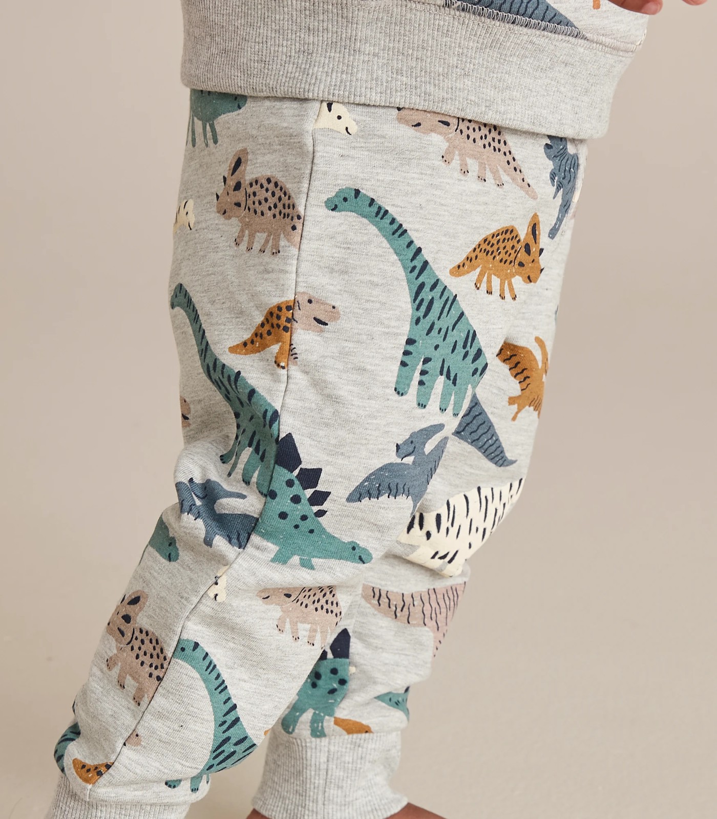 Baby Dinosaur Trackpants 5 of 6