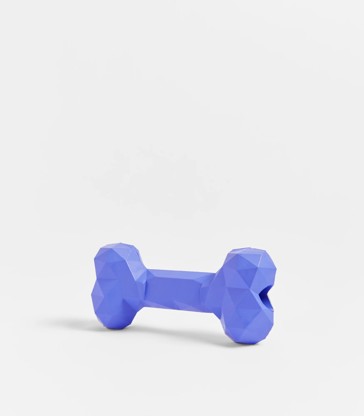 Pet Chew Bone Toy